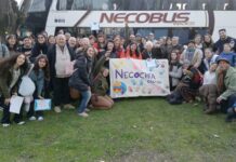 Amplia participación de la cultura necochense en la instancia regional de los Bonaerenses
