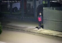 La intervención del monitoreo municipal permitió evitar un nuevo ilícito en la ciudad