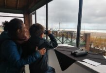 El ciclo de avistaje de ballenas concluye este jueves junto a alumnos de la Escuela 28