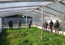 Costa Bonita: un invernáculo para aprender, producir y construir territorio