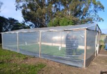 Costa Bonita: un invernáculo para aprender, producir y construir territorio