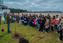 Más de 300 personas participaron de una jornada ambiental de Puerto Ciudad en la Escuela Nº 50