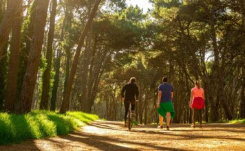 El Concurso de Pintura “Miradas al Parque” ya tiene fecha de inscripción